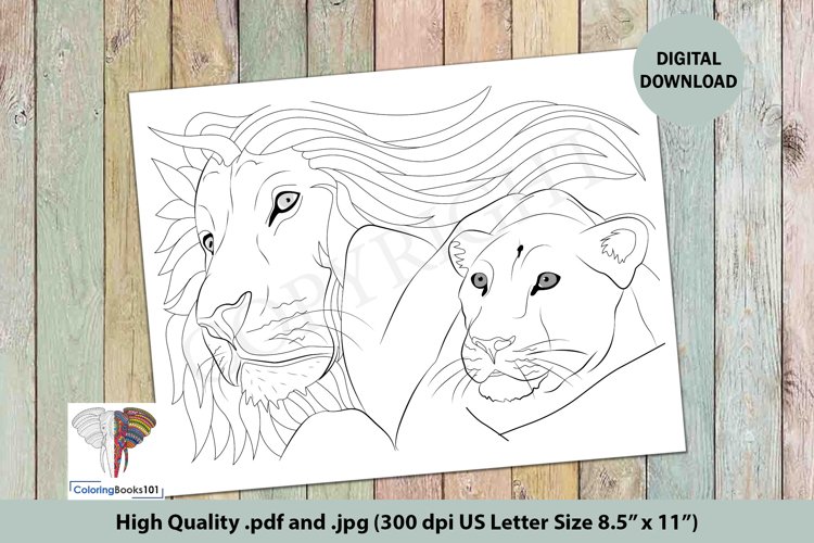 Closeup of lion face intricate coloring page