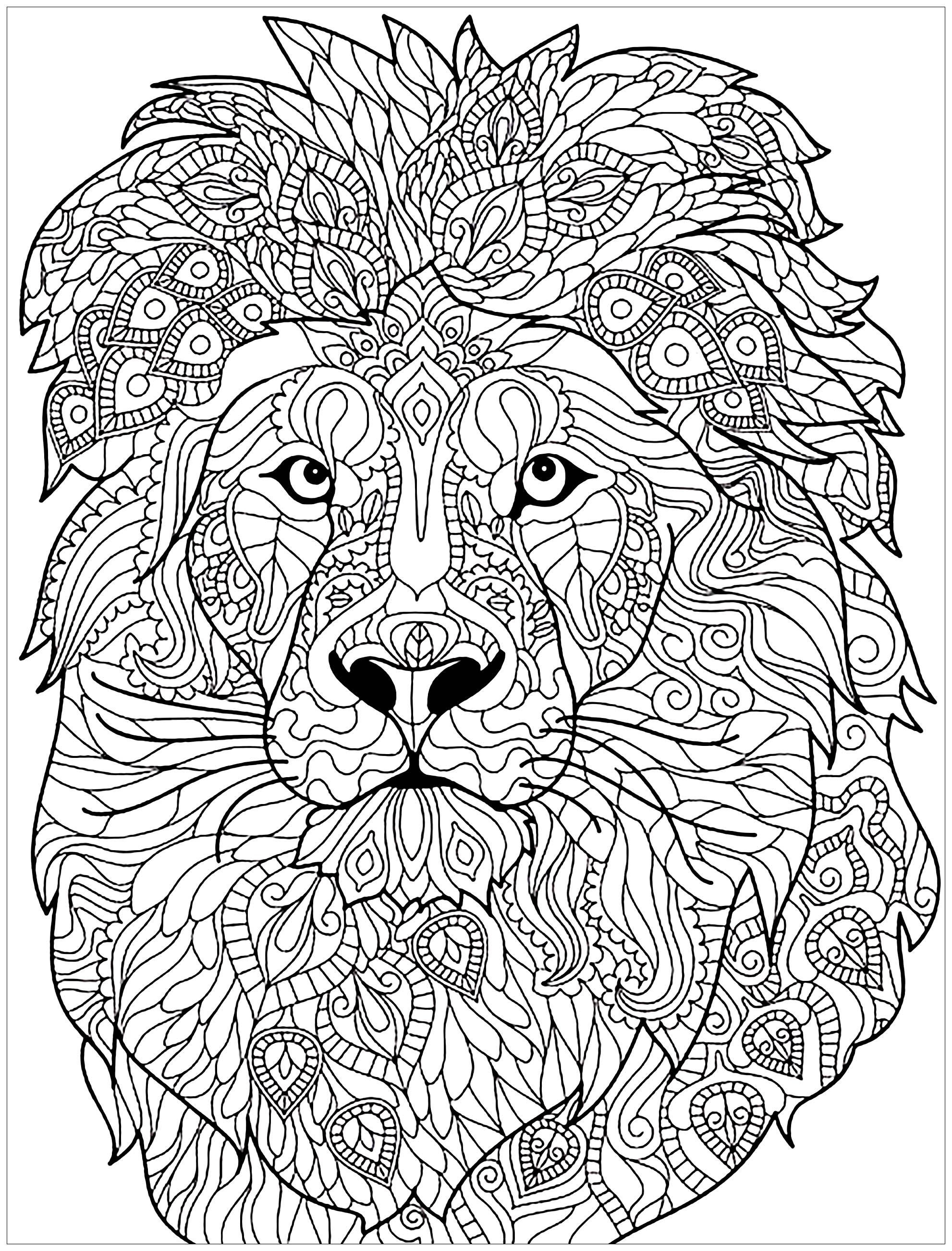 Lion and mplex patterns