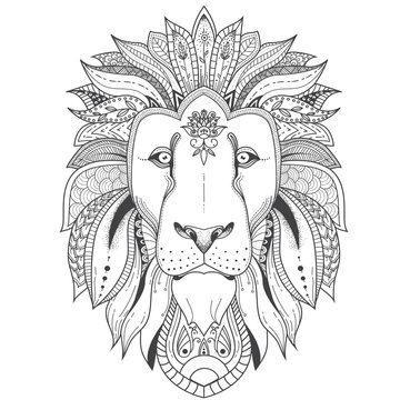 Lion coloring page for adults images â browse photos vectors and video