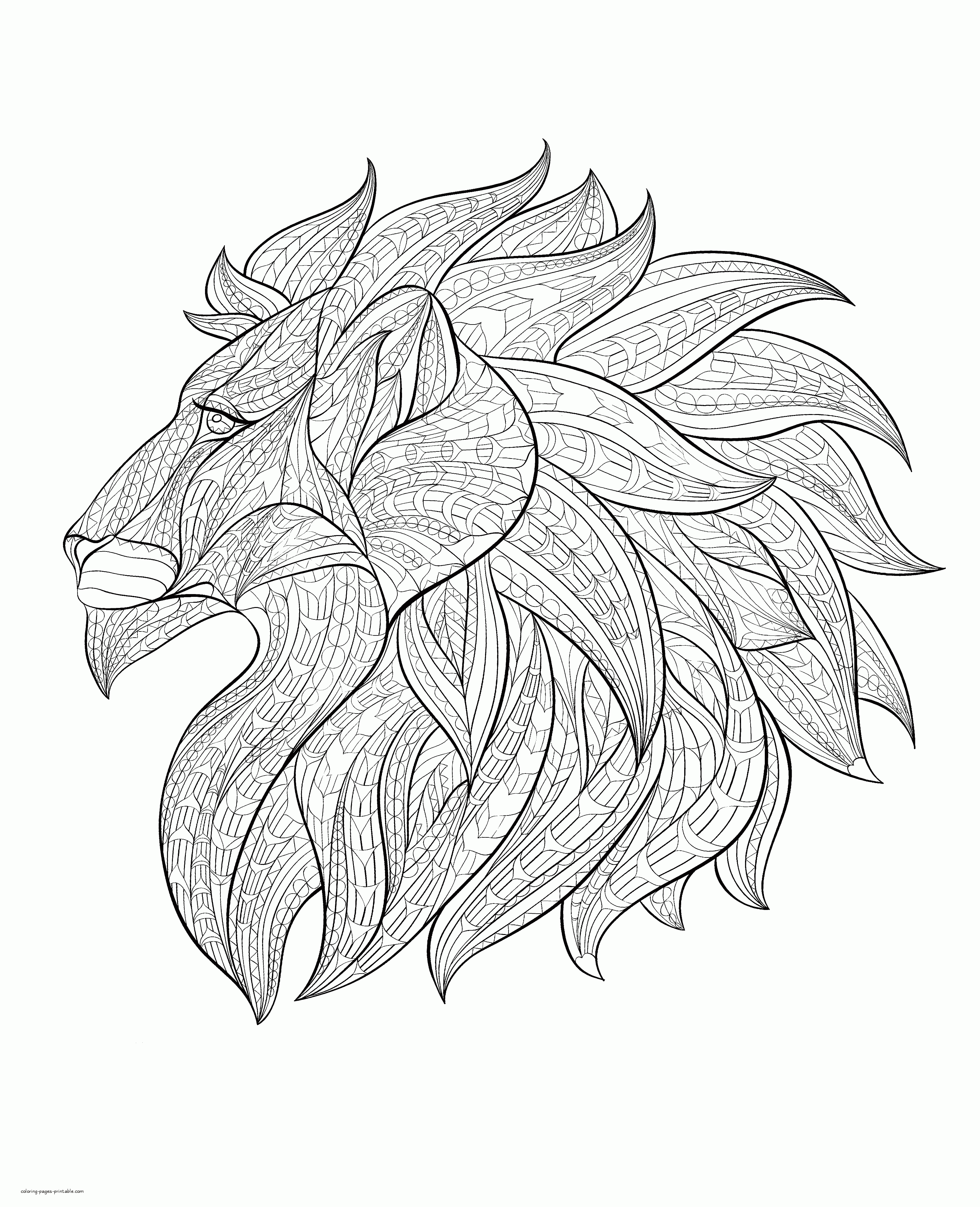 Lion coloring pages for adultsïprintable coloring