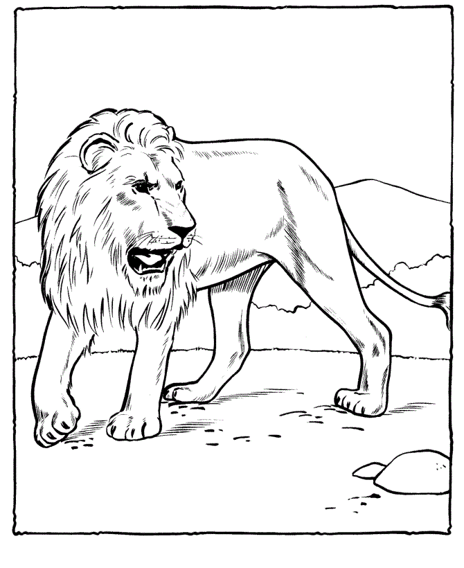 Free printable lion coloring pages for kids