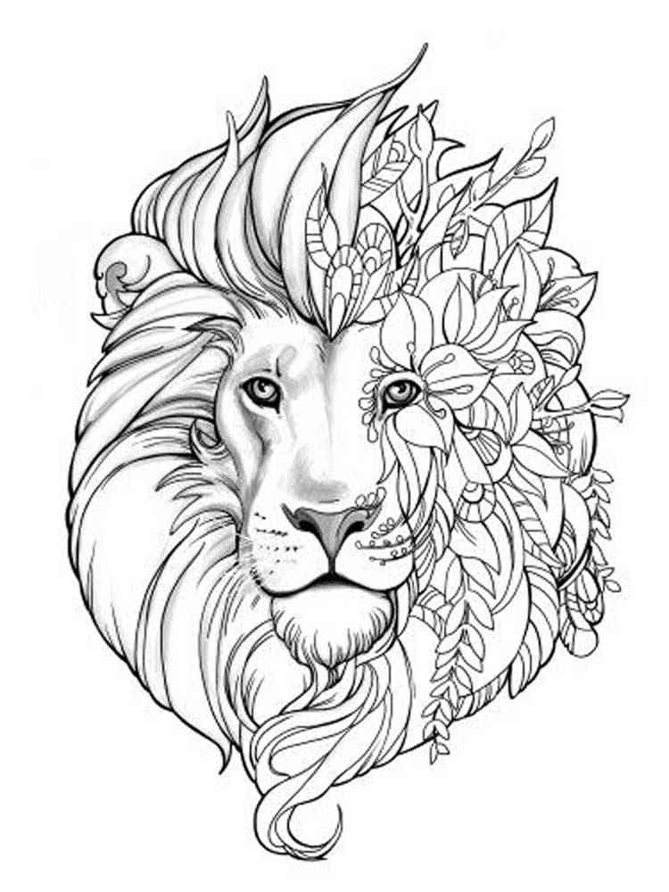 Free printable lion coloring pages for adults