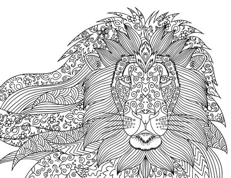 Lion coloring page for adults images â browse photos vectors and video