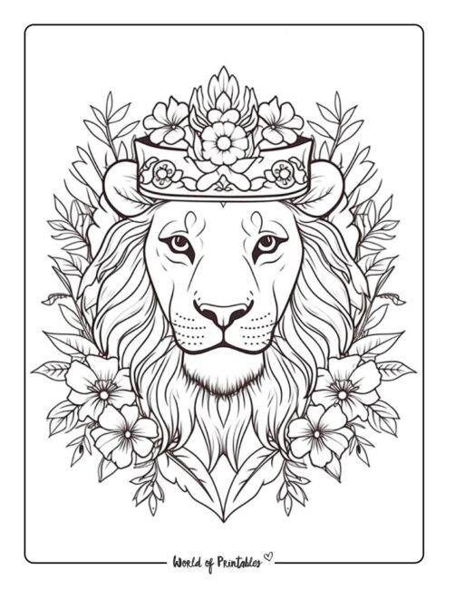 Lion coloring pages for kids adults