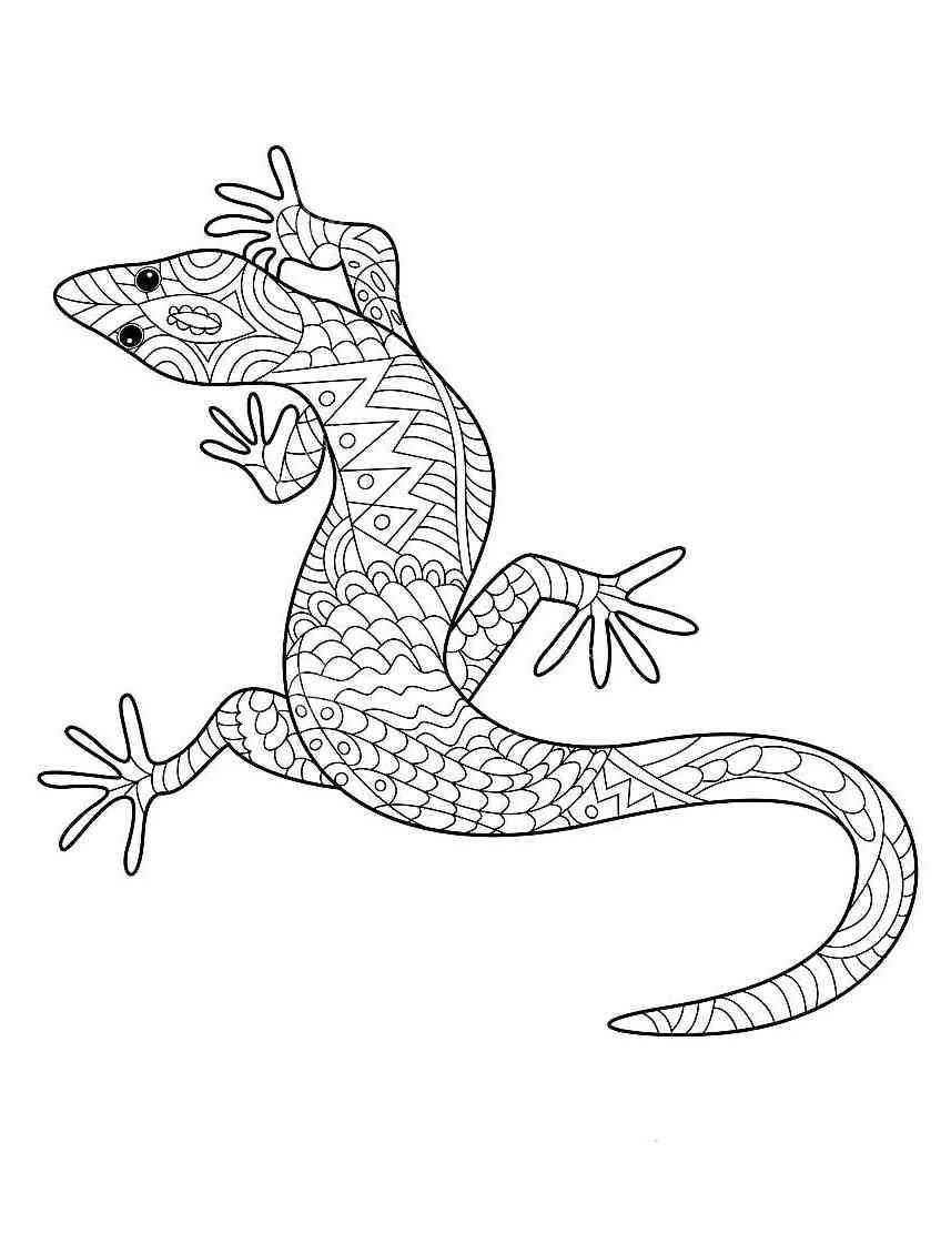 Lizard coloring pages for adults