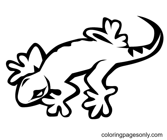 Lizard coloring pages printable for free download