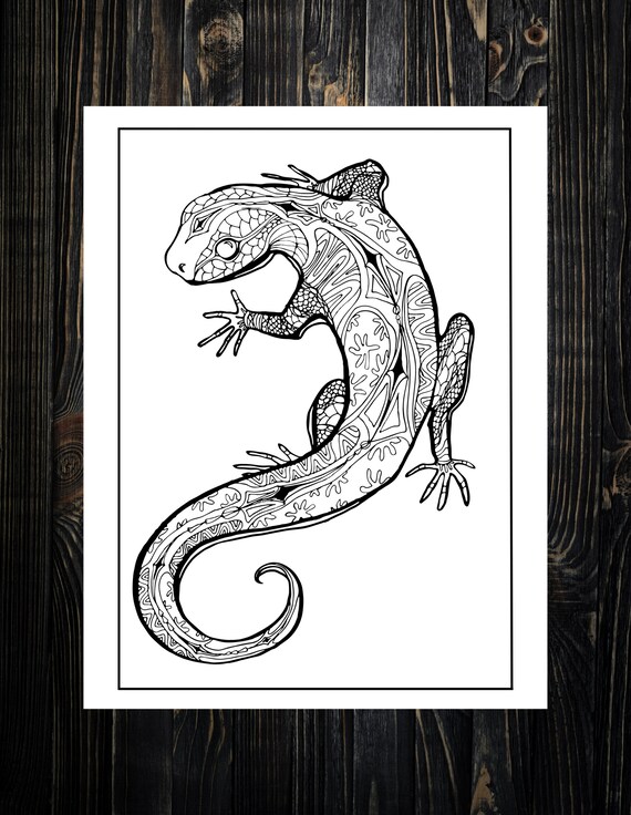 Lizard coloring page adult coloring page printable coloring page digital coloring download now