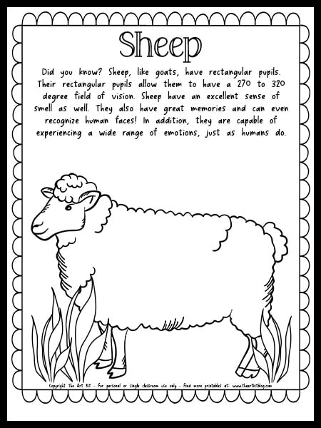 Sheep coloring page with fun facts free printable â the art kit