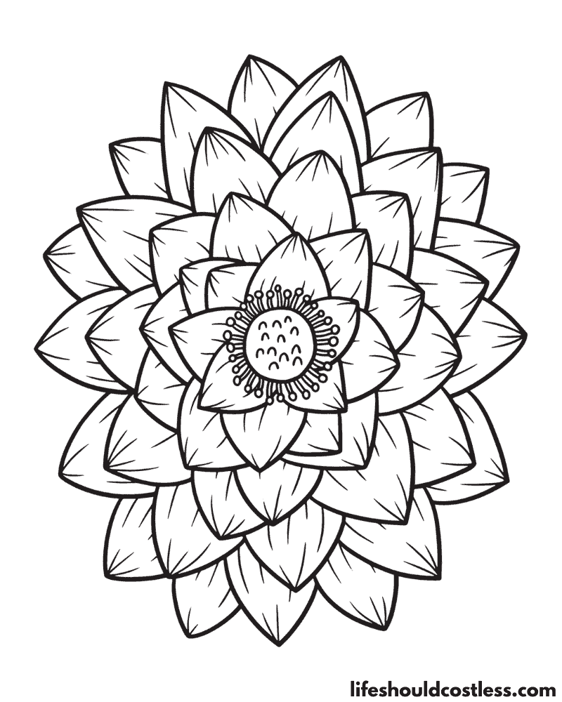 Lotus coloring pages free printable pdf templates