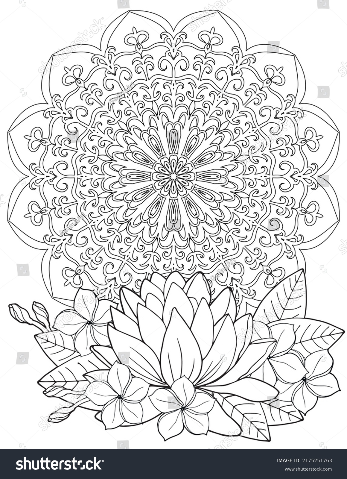 Lotus zentangle images stock photos d objects vectors