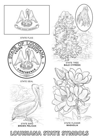 Louisiana state symbols coloring page from louisiana category select from printable crafts of cartoonsâ flag coloring pages state symbols coloring pages