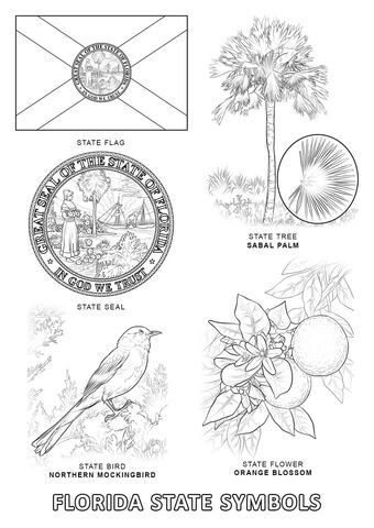 Florida state symbols coloring page free printable coloring pages â