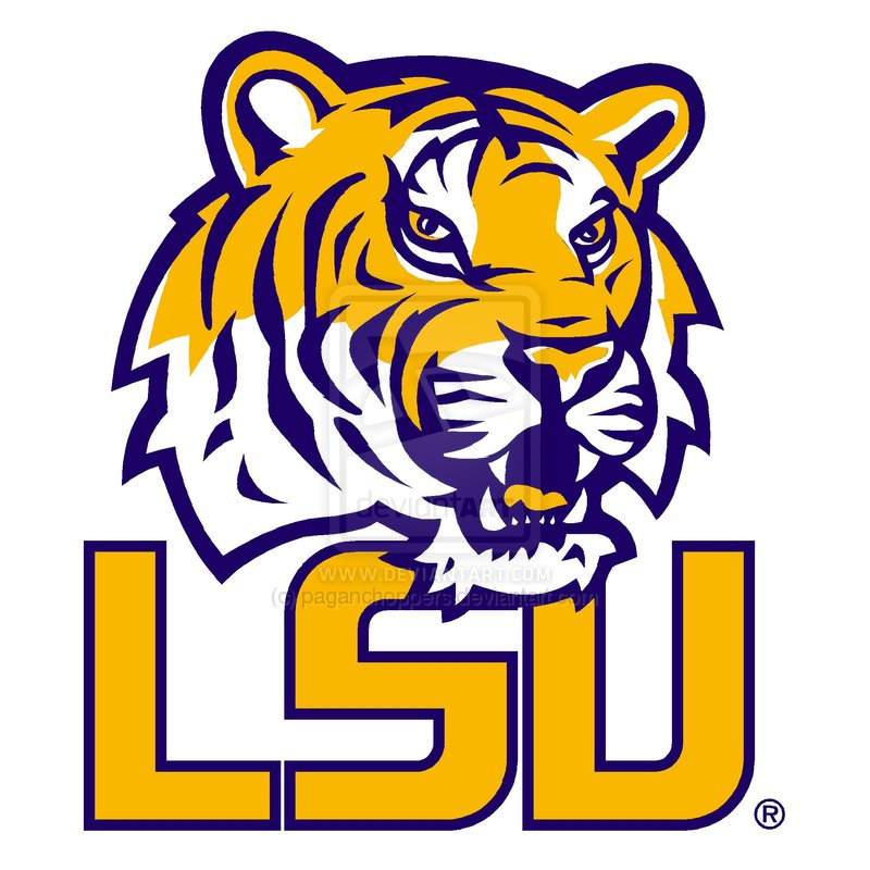 Job of the week information technology manager at louisiana state university