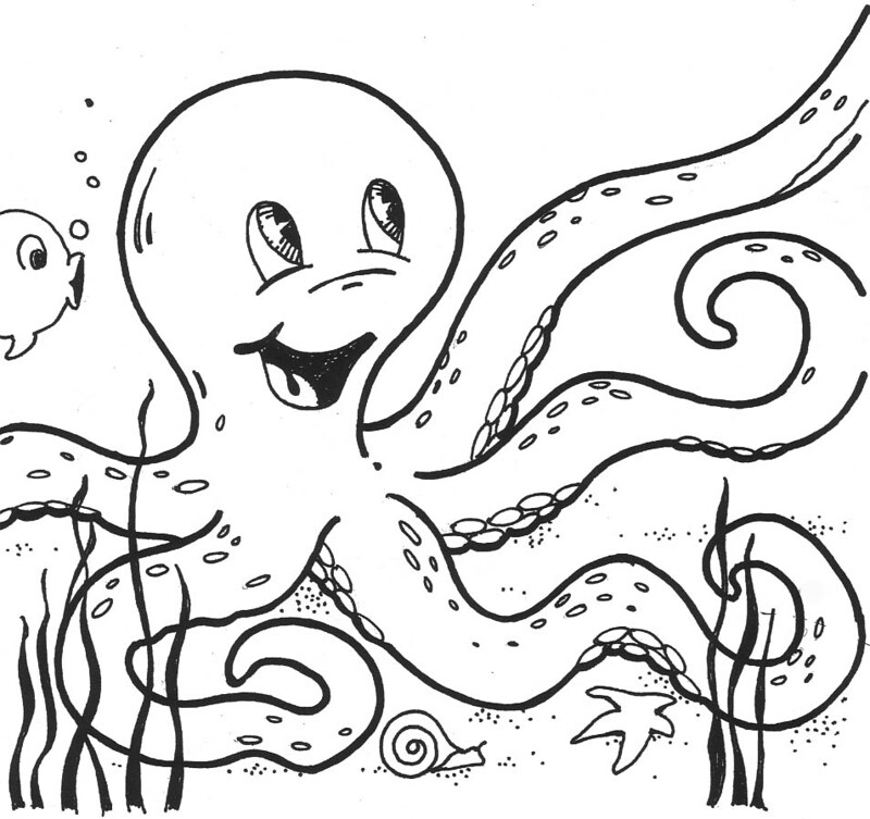 Octopus smiling for image content and use information conâ