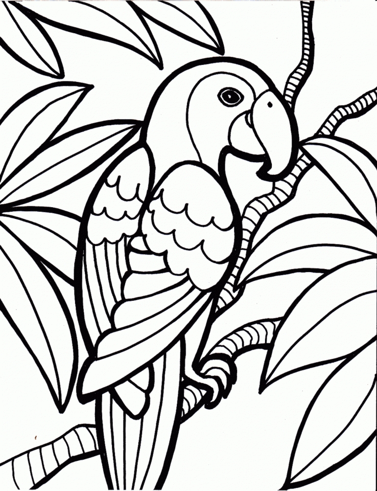 Get this bird coloring pages free printable