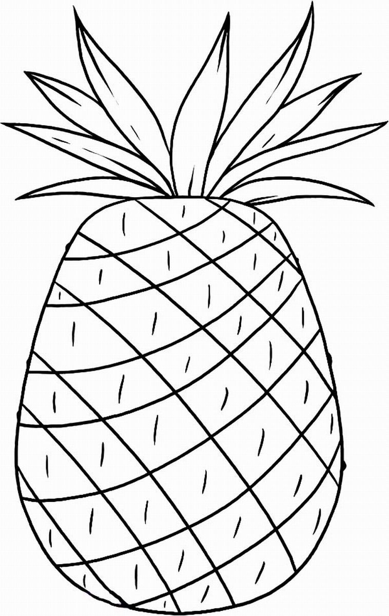 Pine apple coloring pages