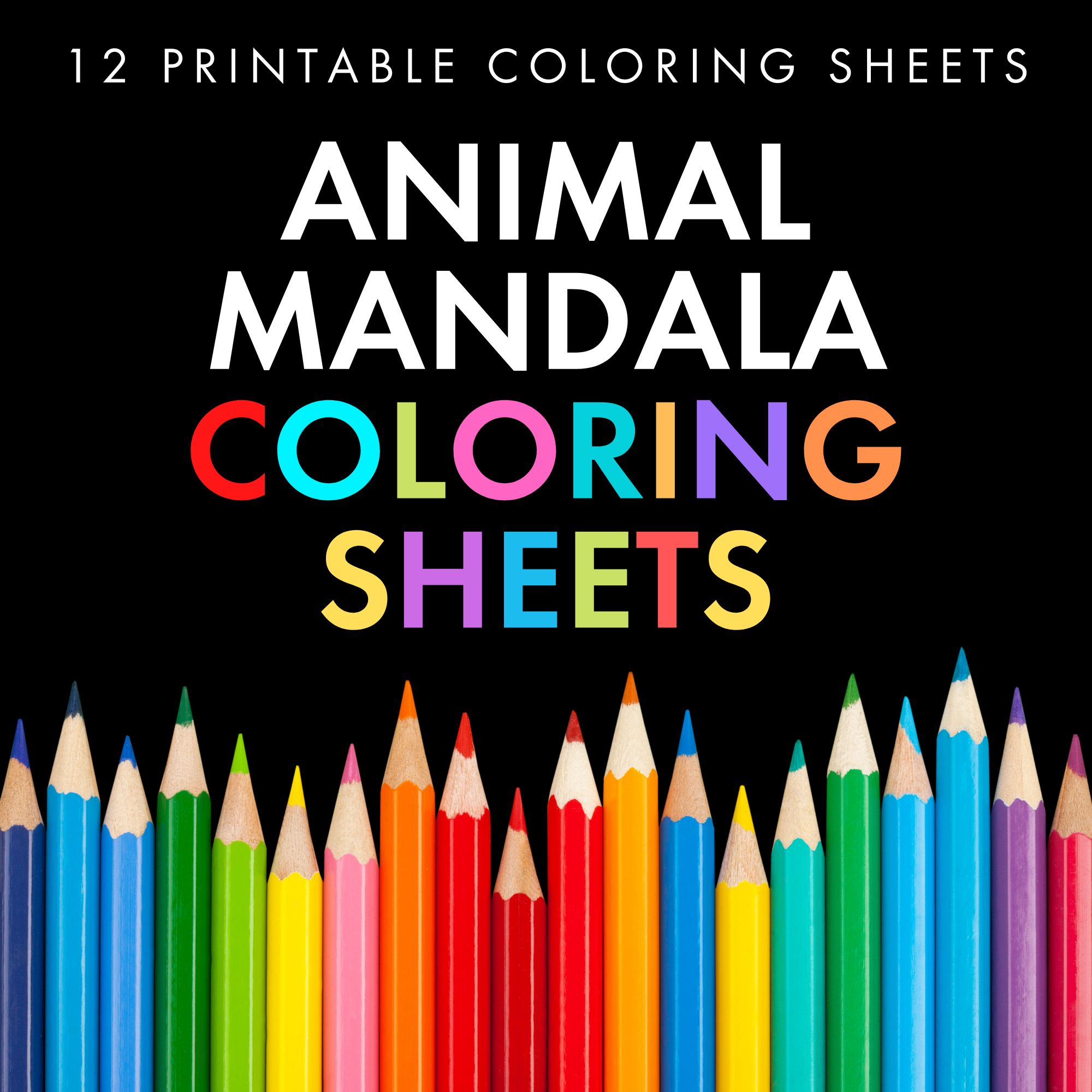 Animal mandala coloring pages mindfulness zentangle sel coloring sheets â laura randazzo â solutions for the secondary classroom