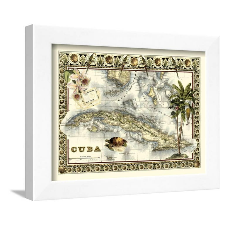 Tropical map of cuba framed art print wall art by vision studio sold by art