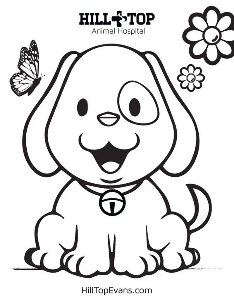 Animal hospital kids pages fun and educational activities