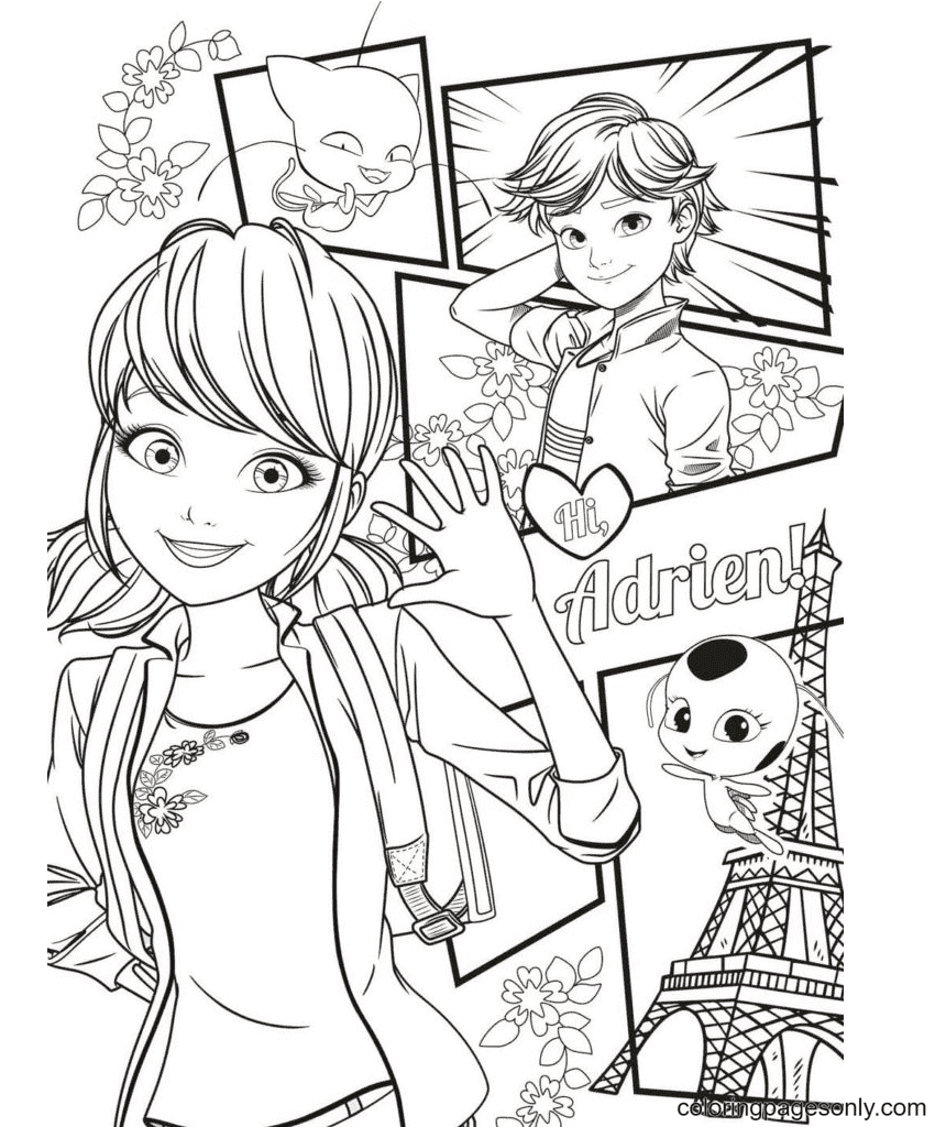 Ladybug and cat noir coloring pages printable for free download