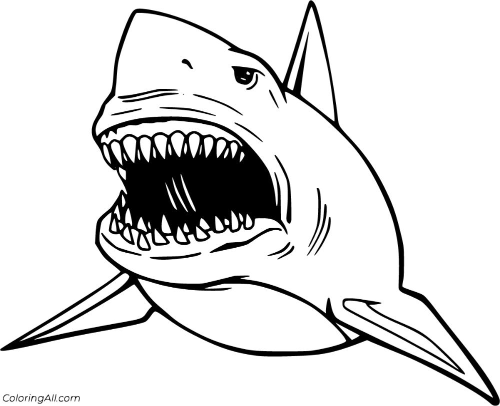 Free printable megalodon coloring pages in vector format easy to print from any device and automatically fit aâ shark coloring pages megalodon coloring pages