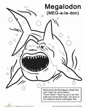 Color the monstrous megalodon worksheet education shark coloring pages megalodon shark activities