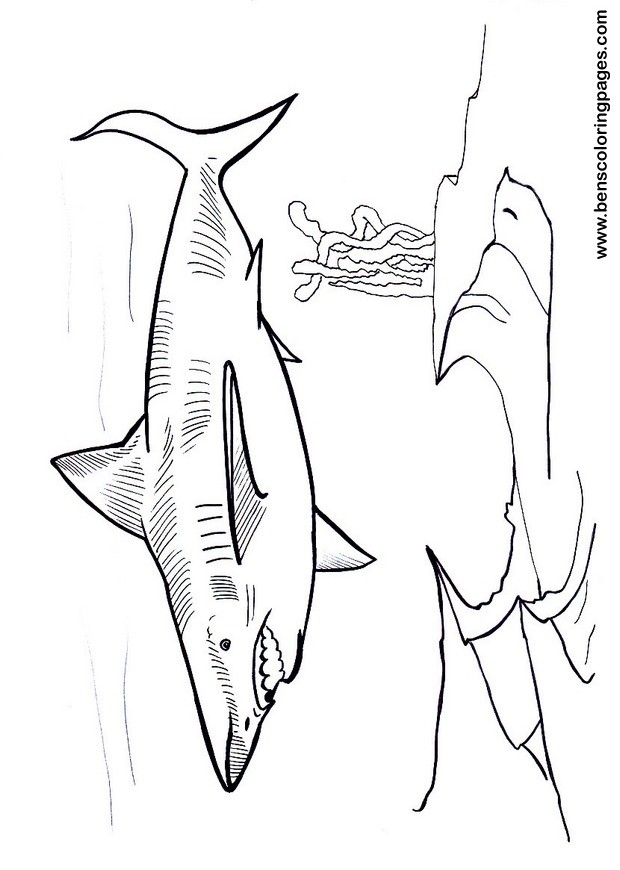 Megalodon free coloring page