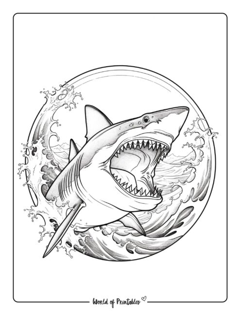 Shark coloring pages for kids adults