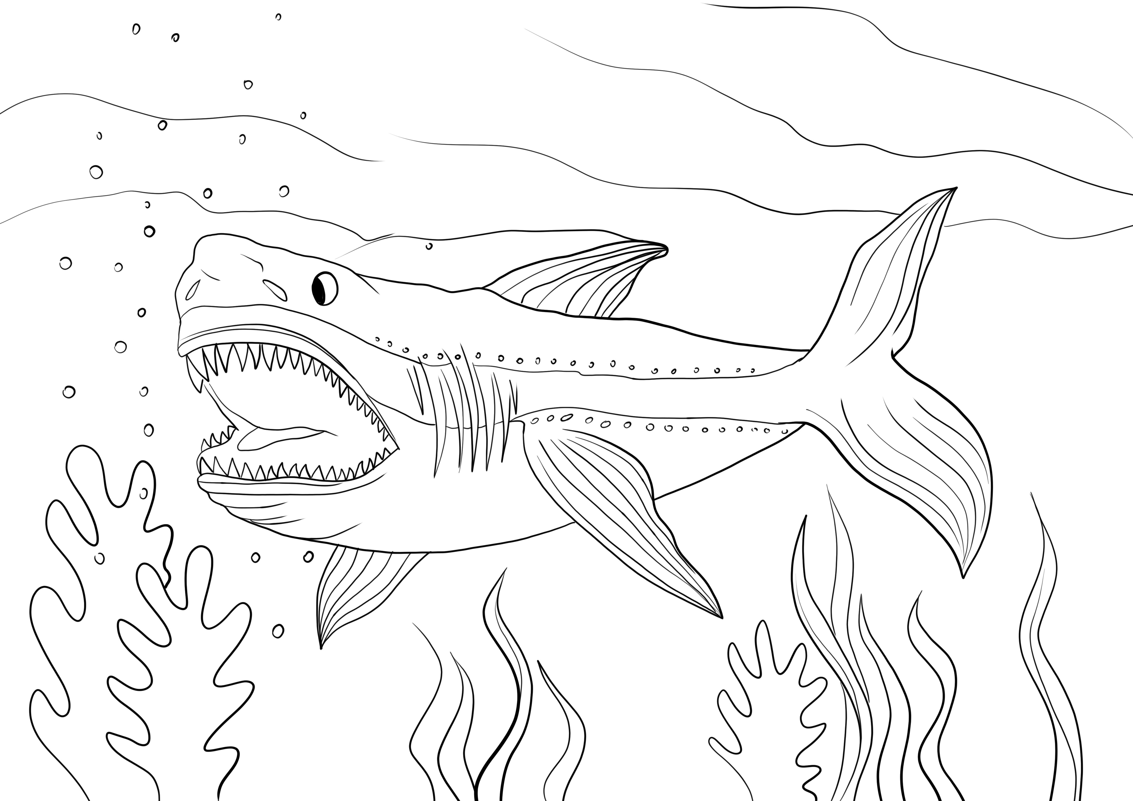 Megalodon shark to print and color or download for free