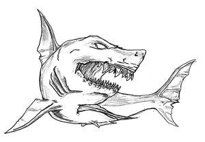 Shark coloring pages pdf printable