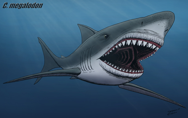 O megalodon