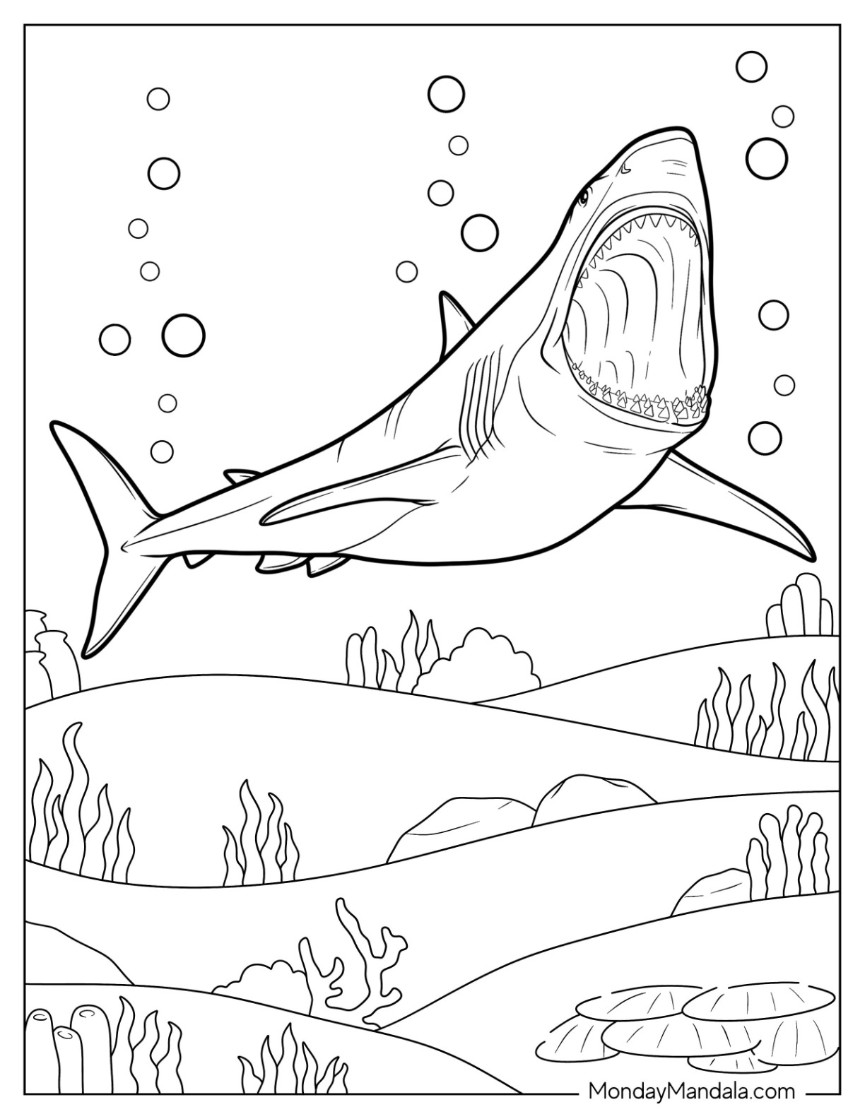 Shark coloring pages free pdf printables