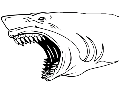 Free shark coloring pages printable