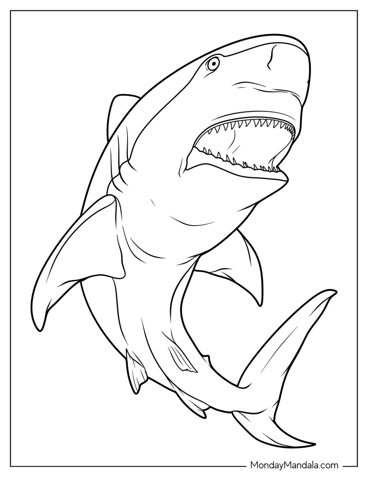 Shark coloring pages free pdf printables