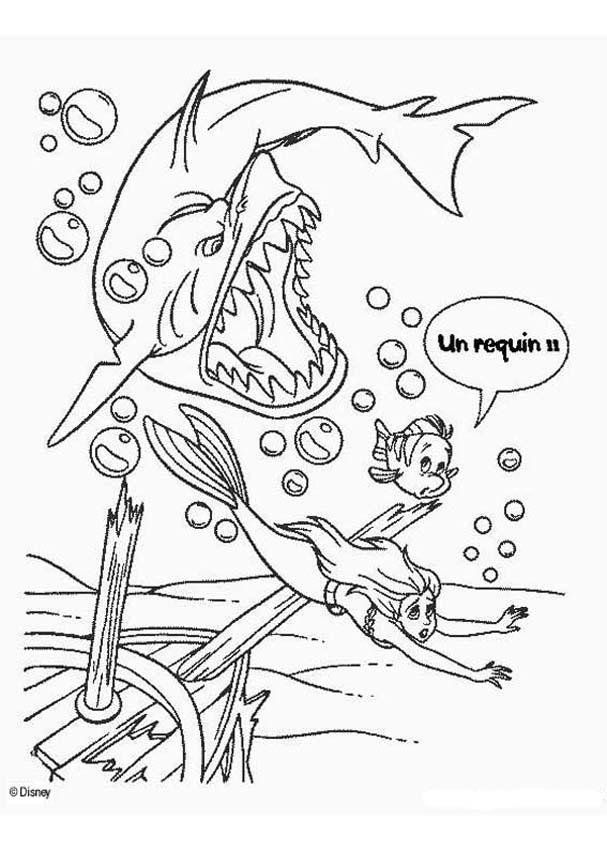 The shark coloring pages