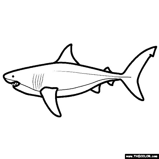 Megalodon coloring page coloring pages megalodon color