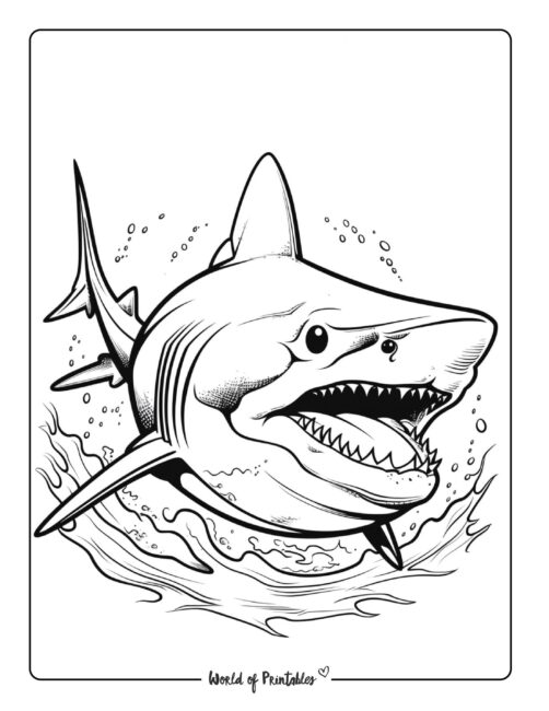 Shark coloring pages for kids adults