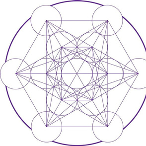 Metatrons cube