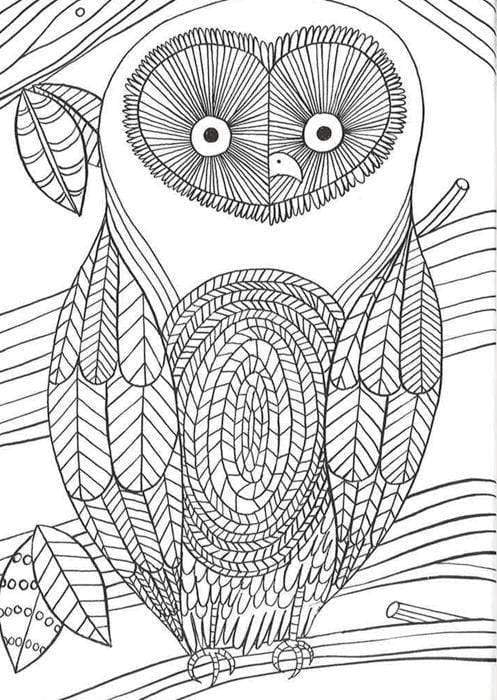 The mindfulness coloring book more anti