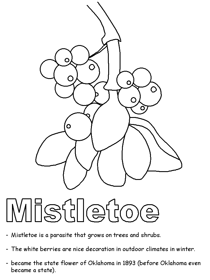 Mistletoe coloring page