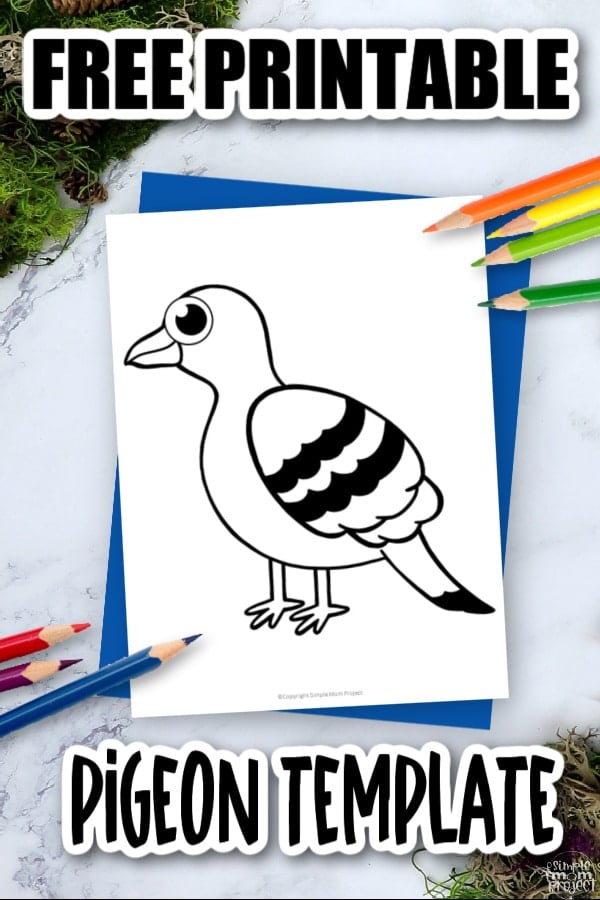 Free printable pigeon template â simple mom project