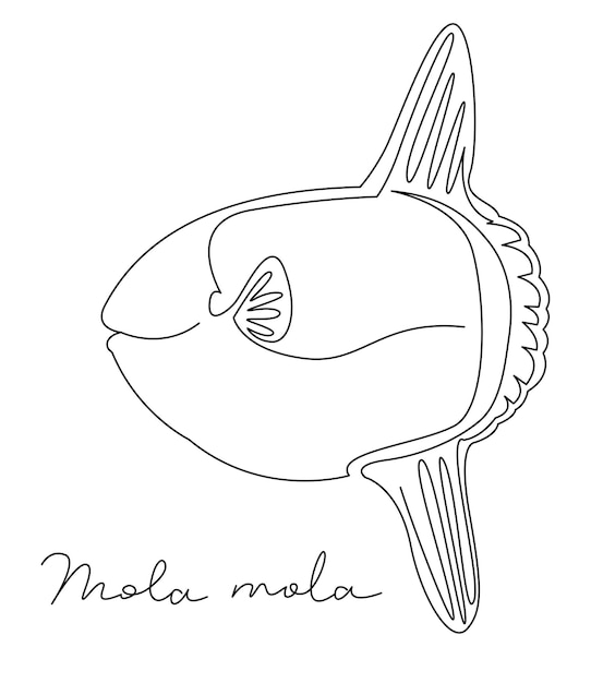 Premium vector line art mola mola