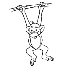 Top free printable monkey coloring pages for kids