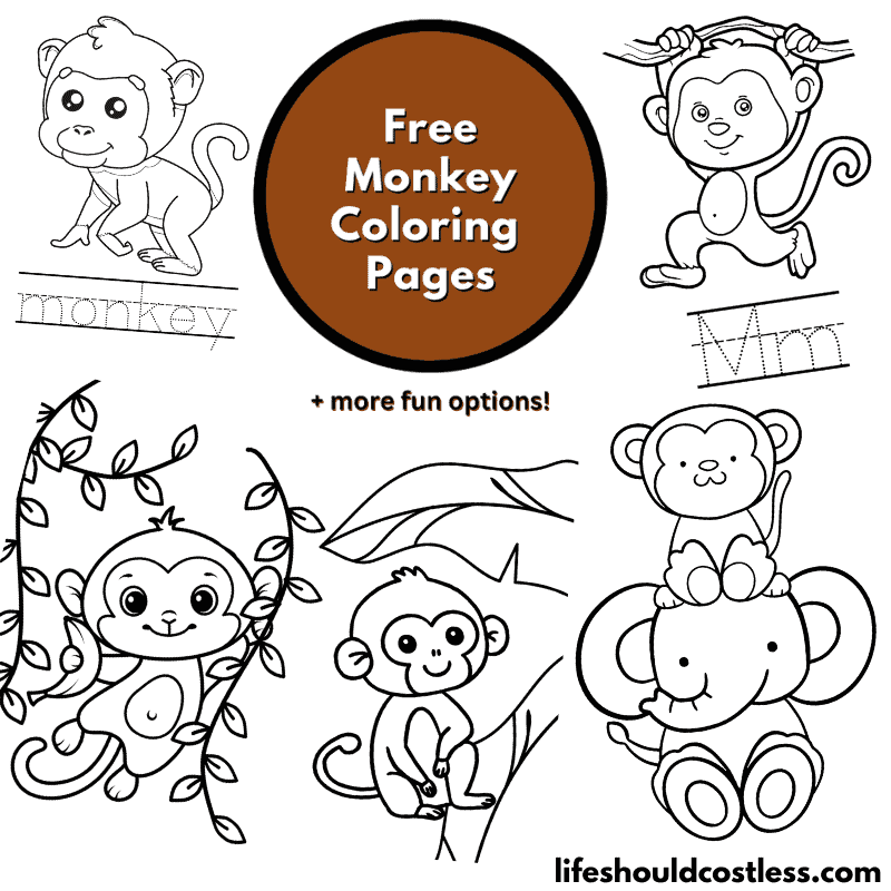 Monkey coloring pages free printable pdf templates