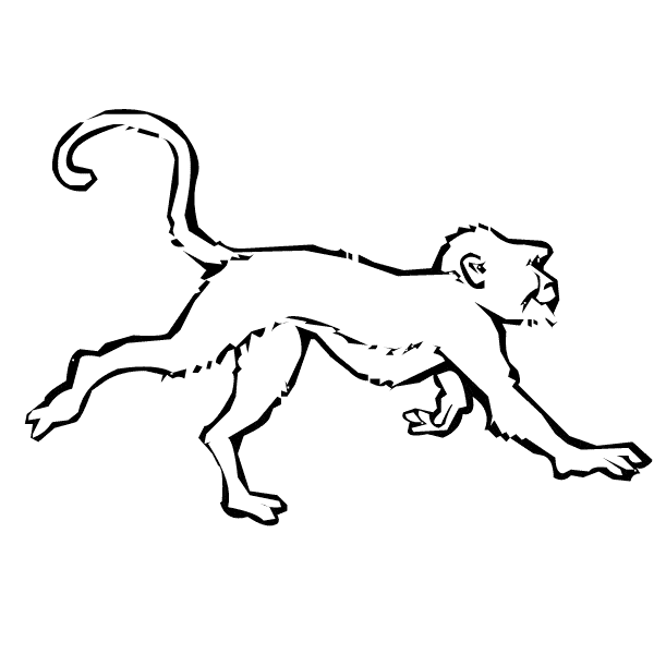 Monkey coloring page