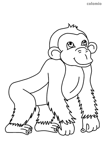 Monkeys coloring pages free printable monkey coloring sheets