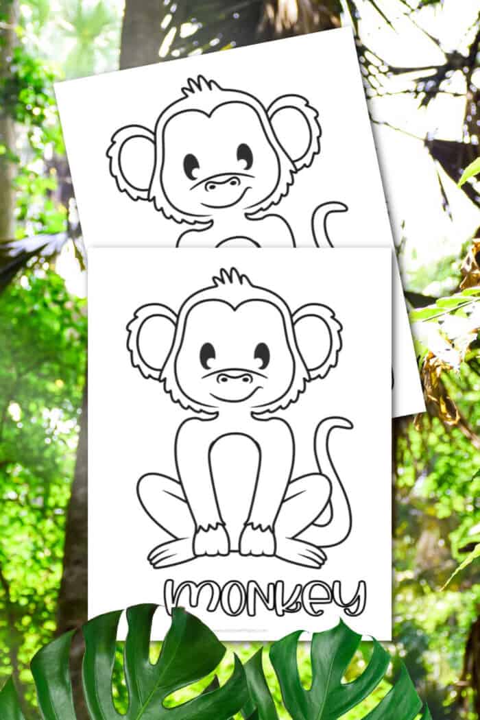 Printable monkey coloring pages