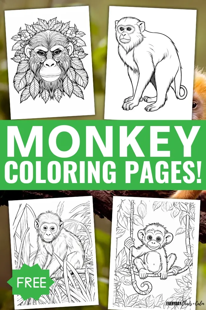 Free printable monkey coloring pages