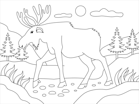 Moose coloring page free printable coloring pages