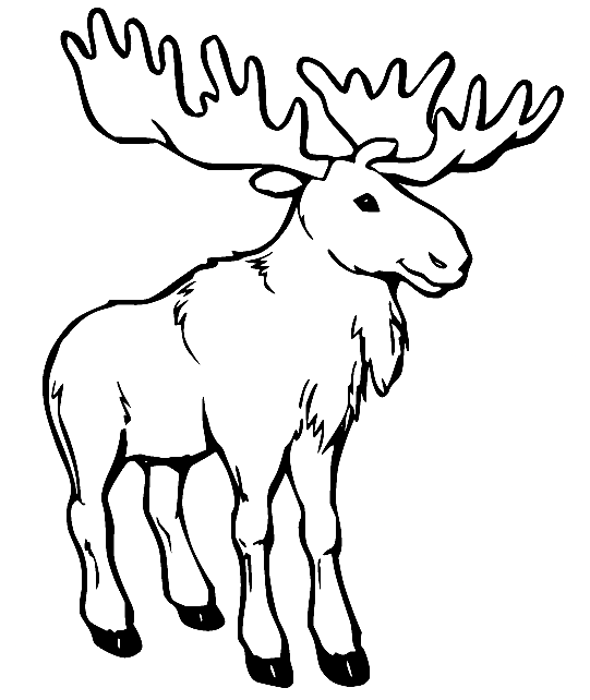 Moose coloring pages printable for free download